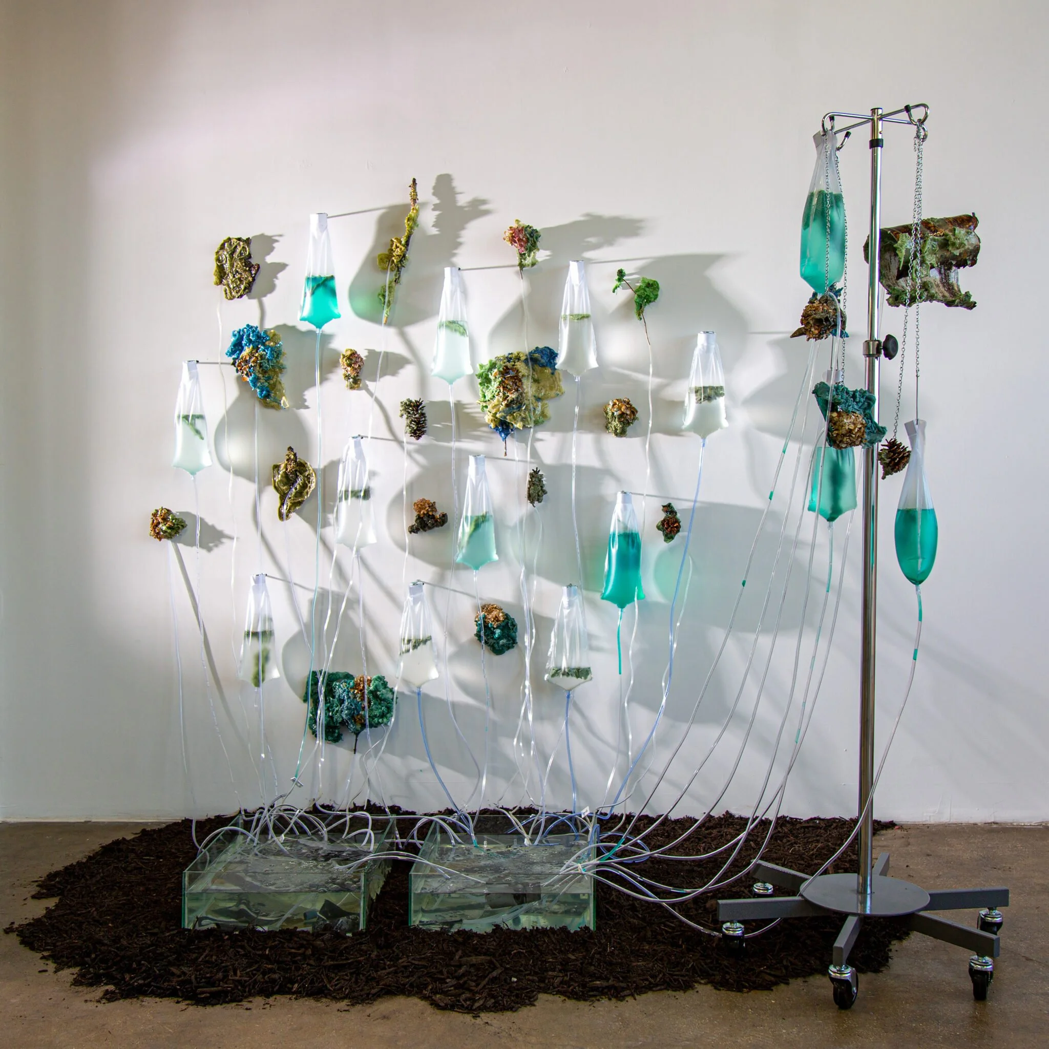 Nazli Efe: 2025 AIM Fellow at The Bronx Museum