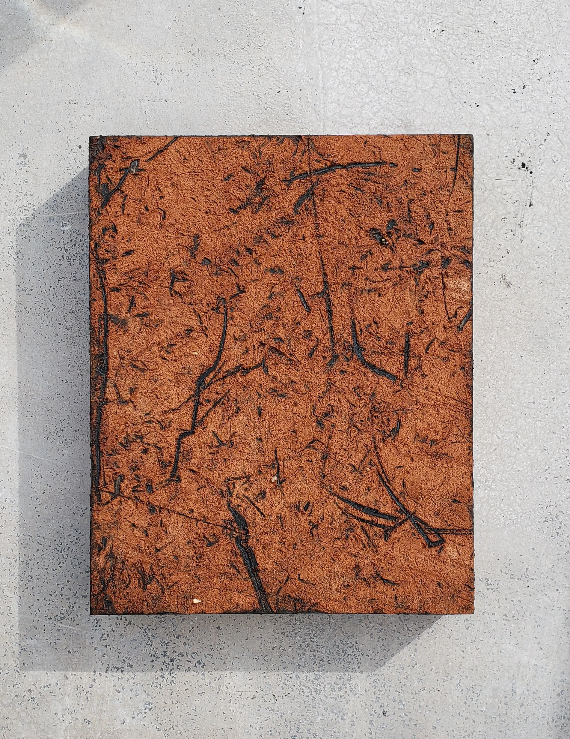 Allen Ball: Forest Lane