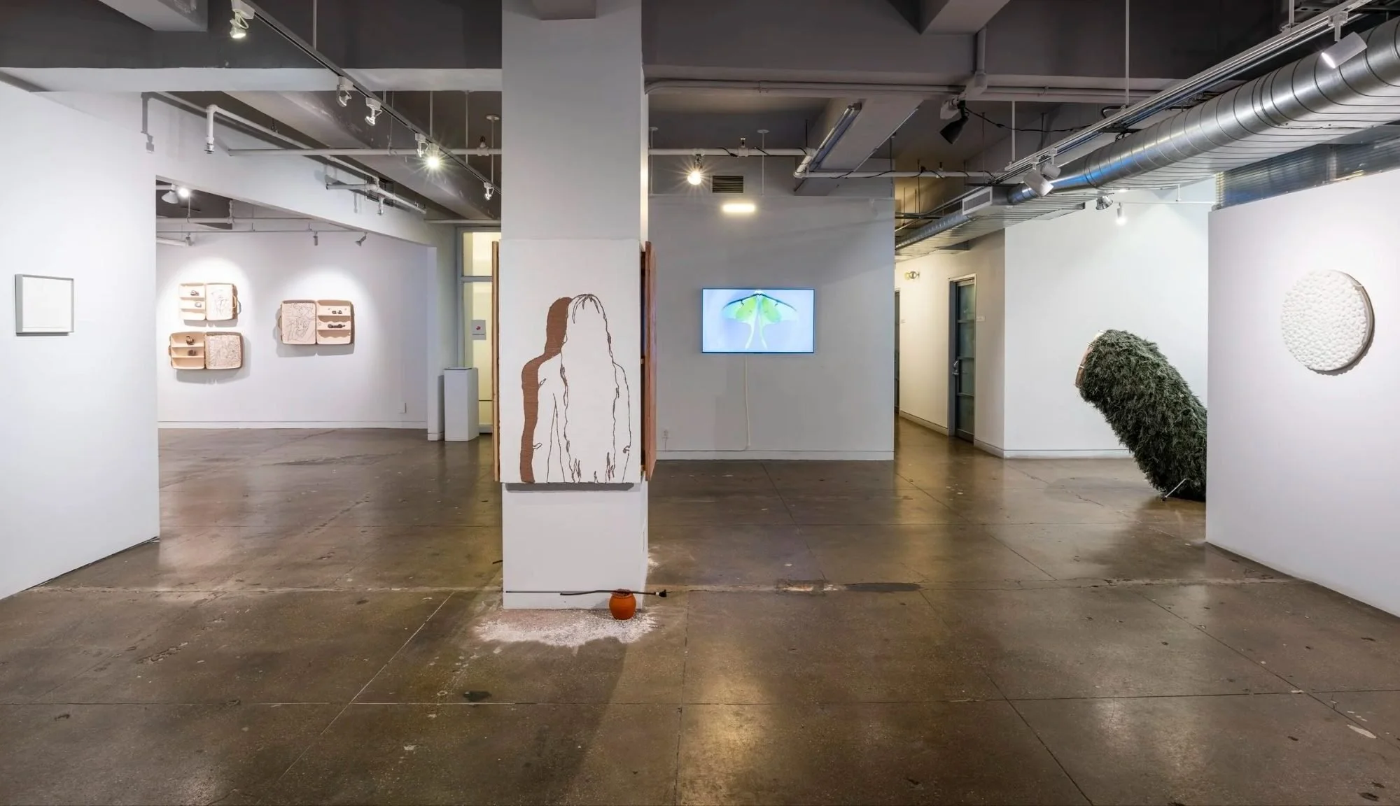 After the Rains – How Nature Roots Us Home: ArtSpiel