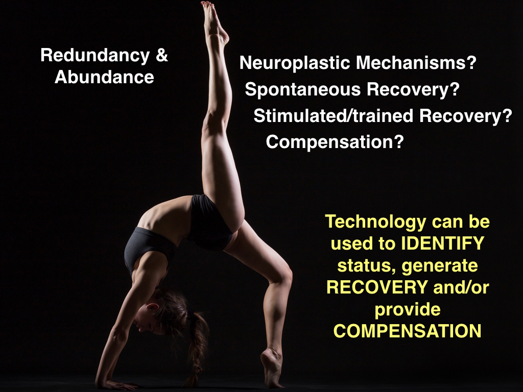 Derek Jones Technology in Rehab Nov 2015.029.jpeg