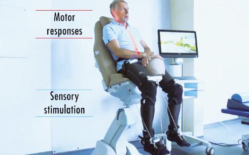 Stage 2 - Seated locomotion