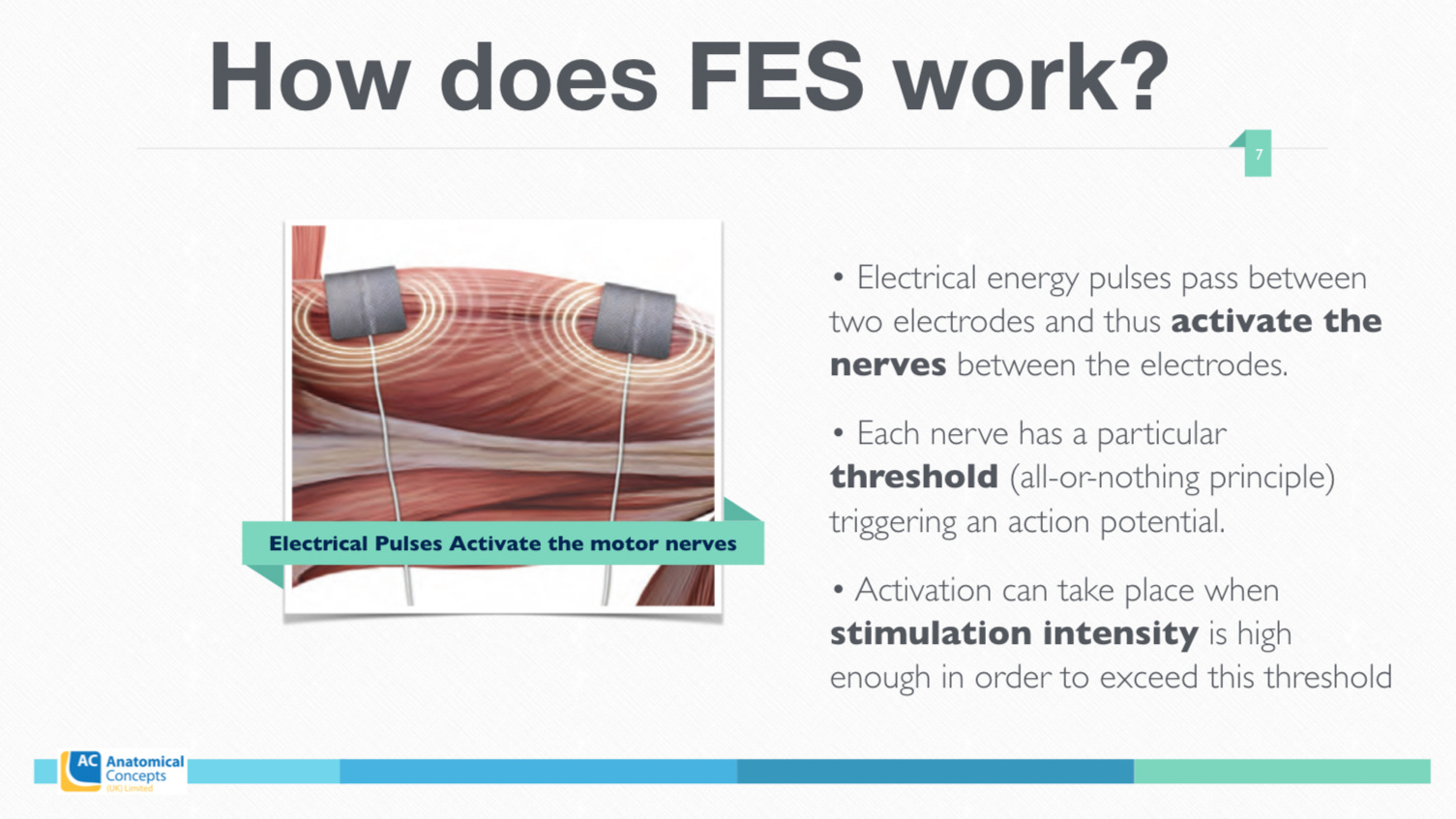 4.+How+Does+FES+Work+-+Tune+Up+Course+copy.007.jpg