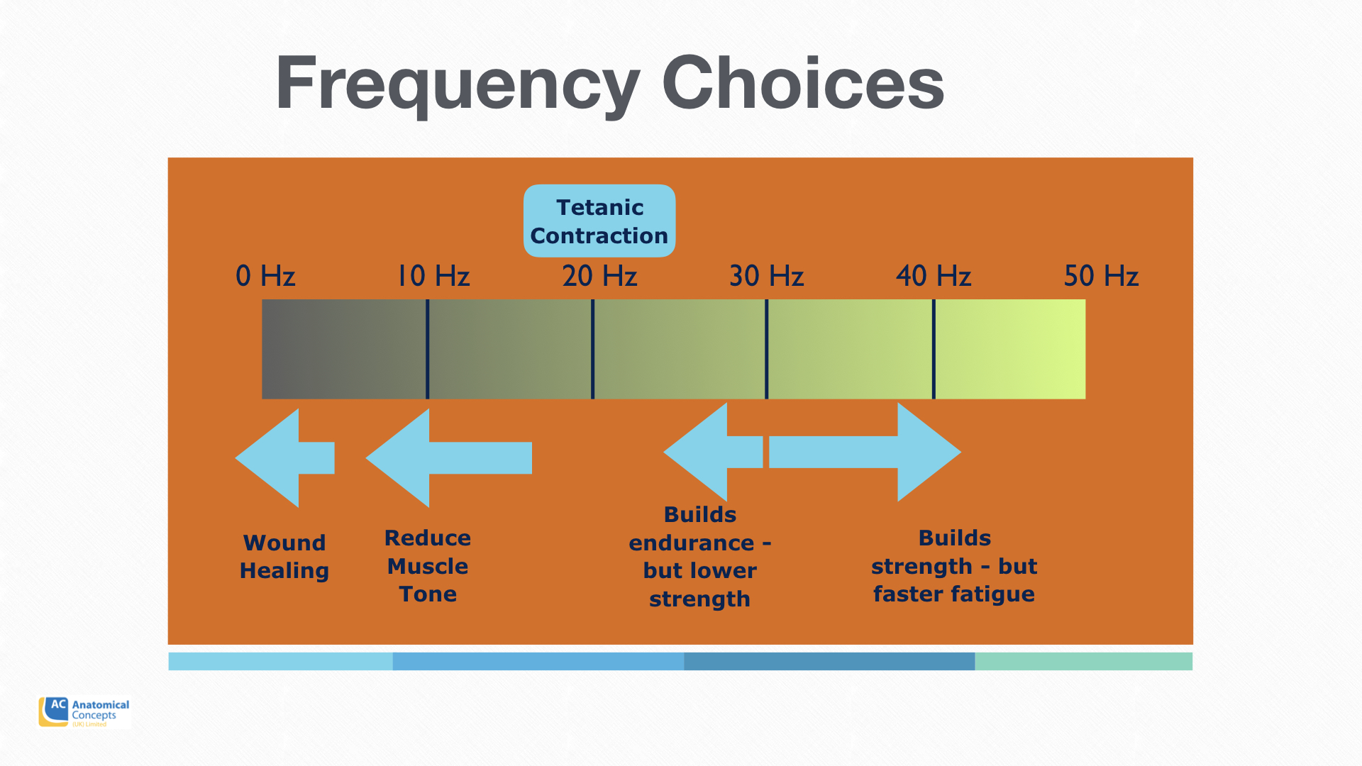 How frequency of the stimulation affects muscle tissue