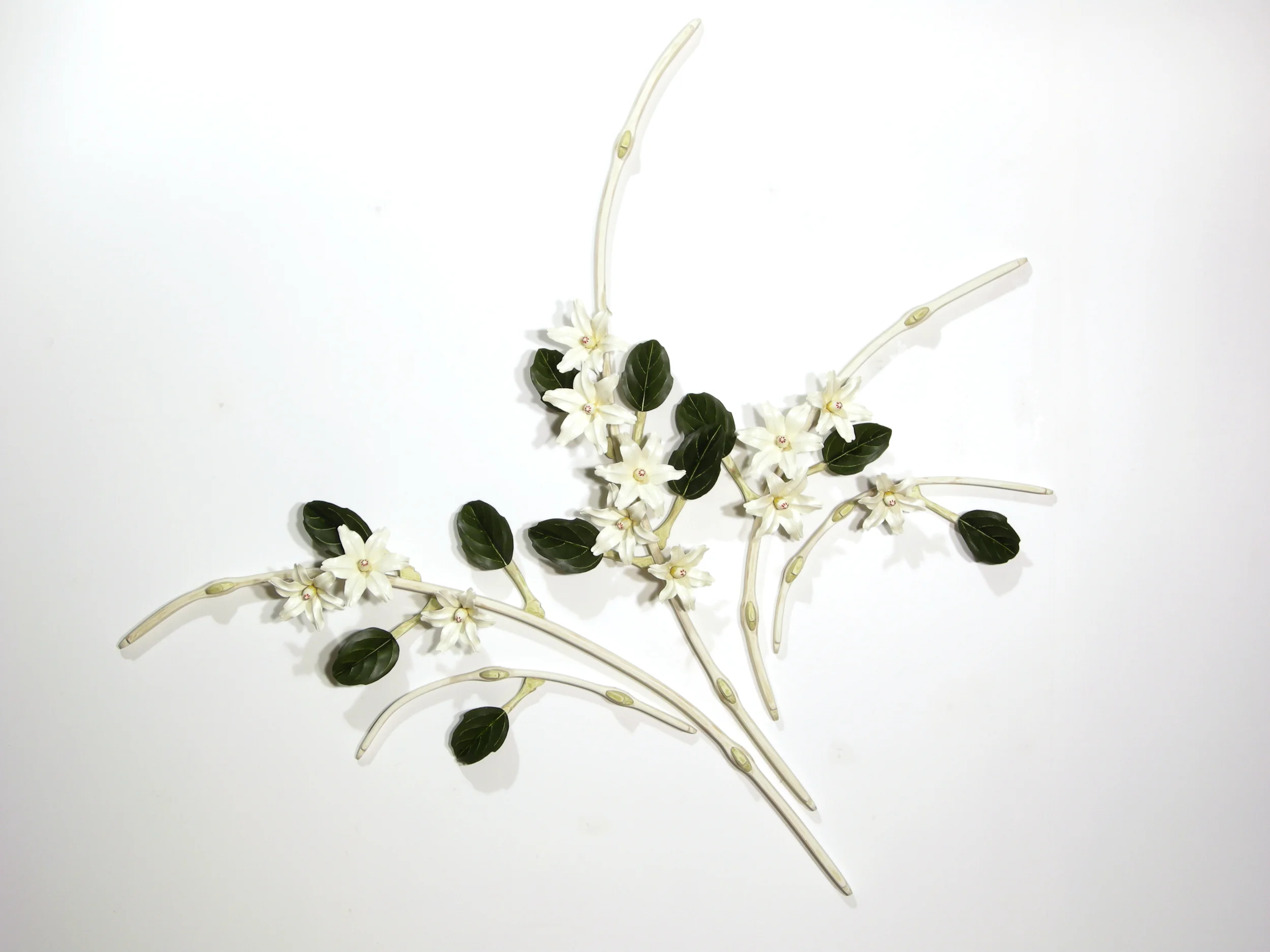 composition with clematis v