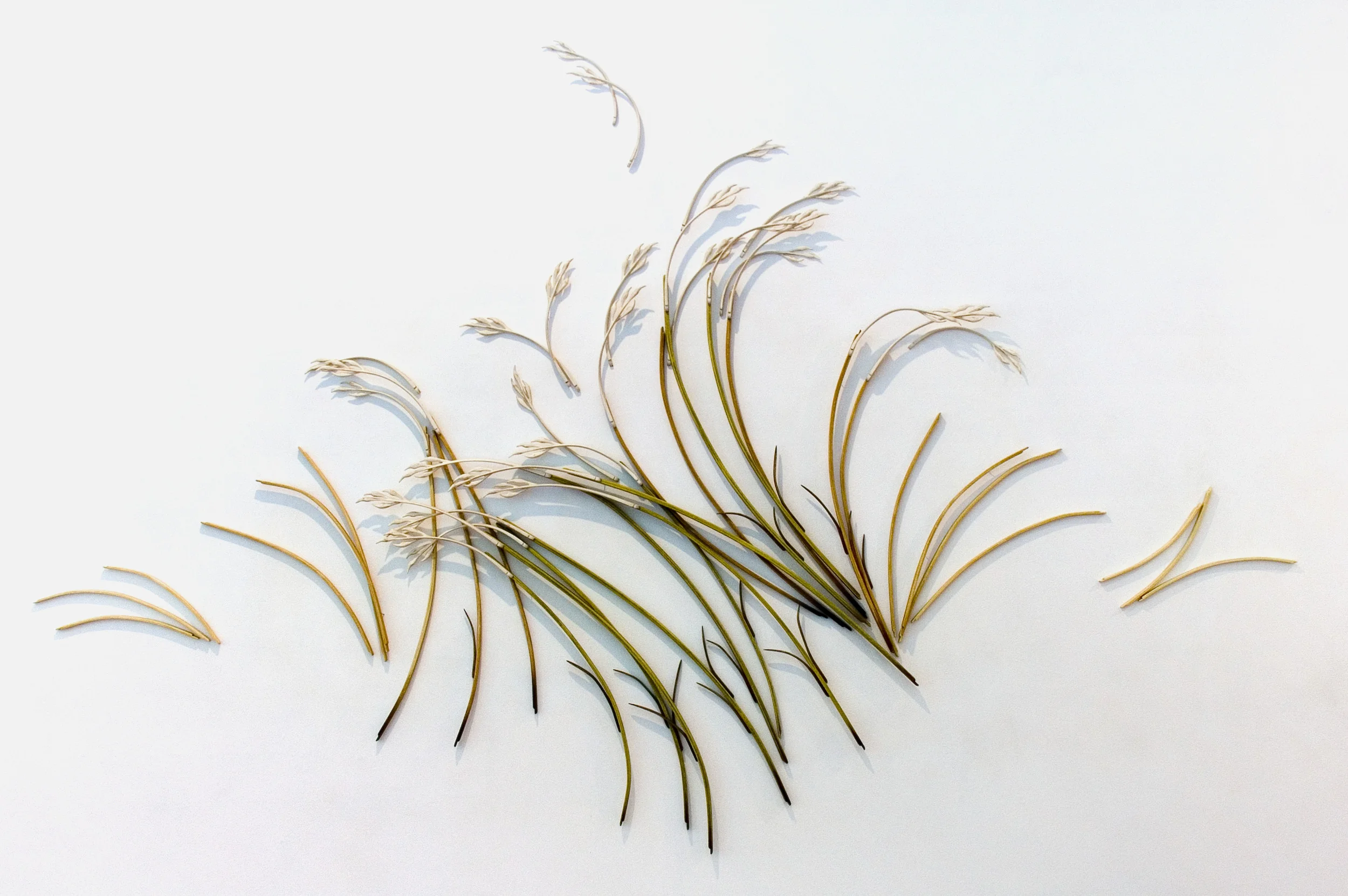 composition with grasses vi, 2008