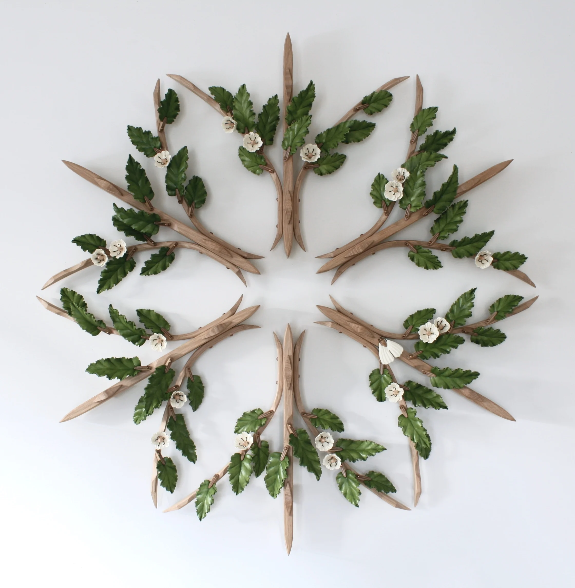 Lacebark Rosette I