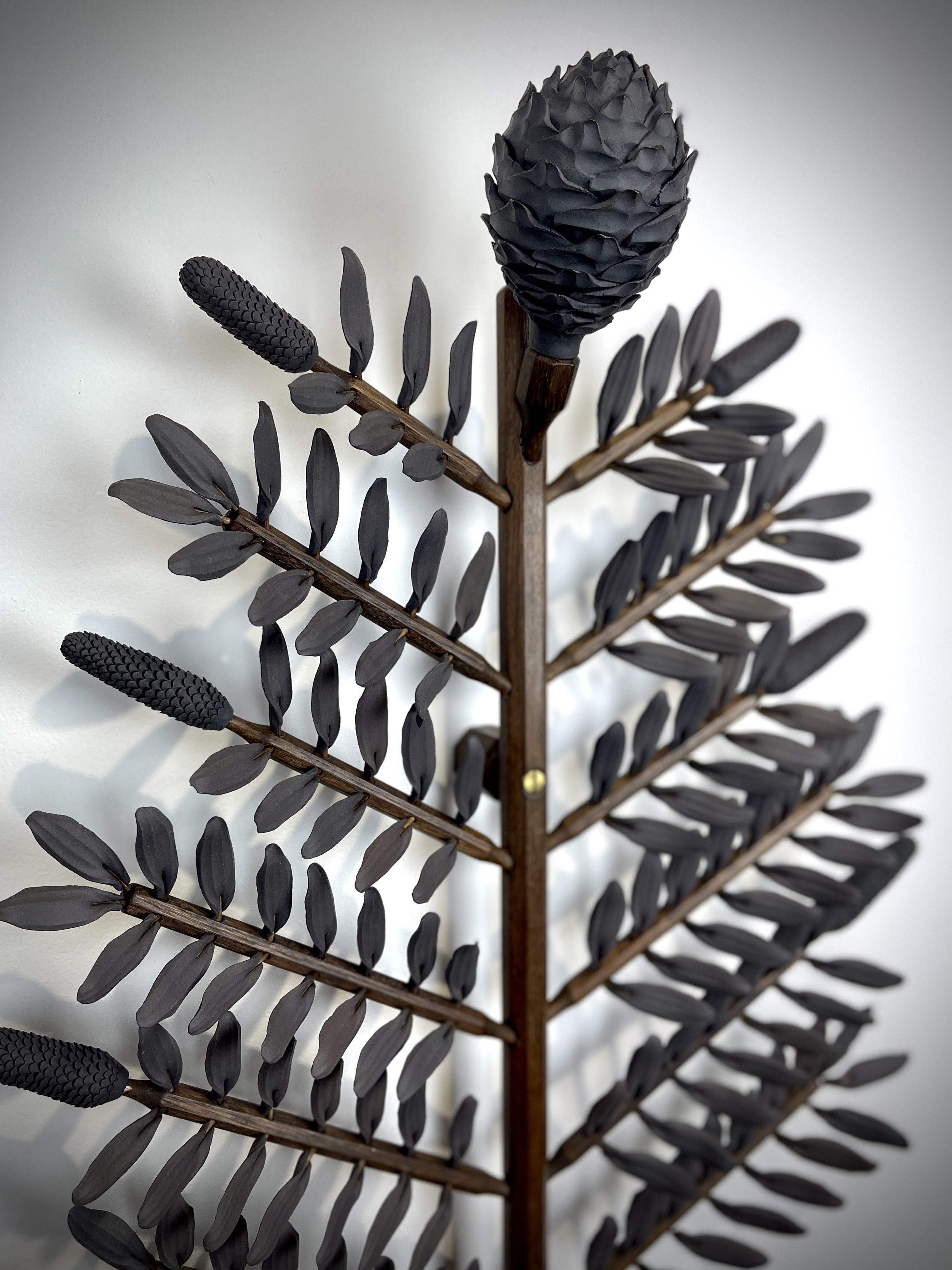 Kauri Tree Detail.JPG