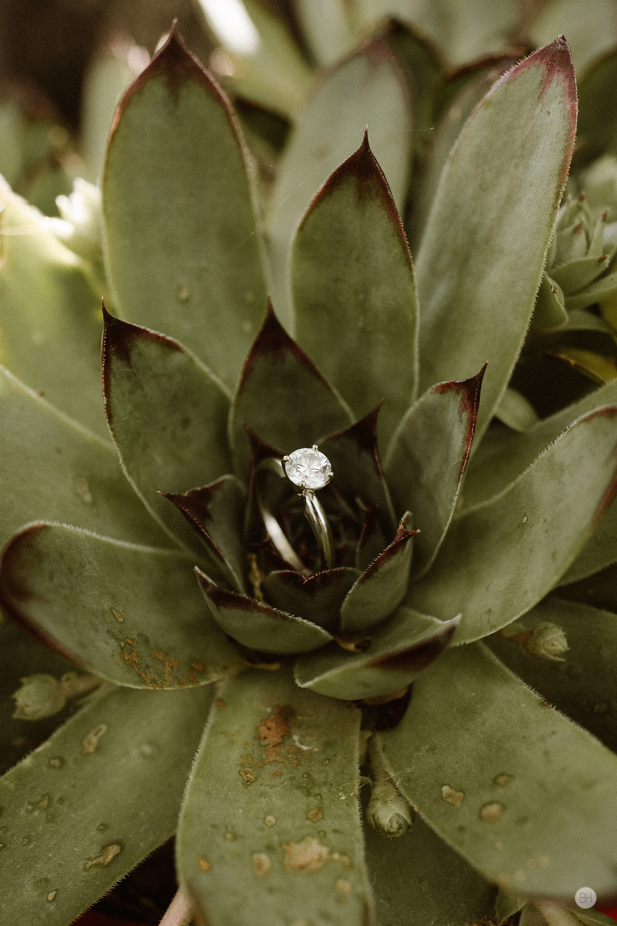 Alexandra&Ryne-74.jpg