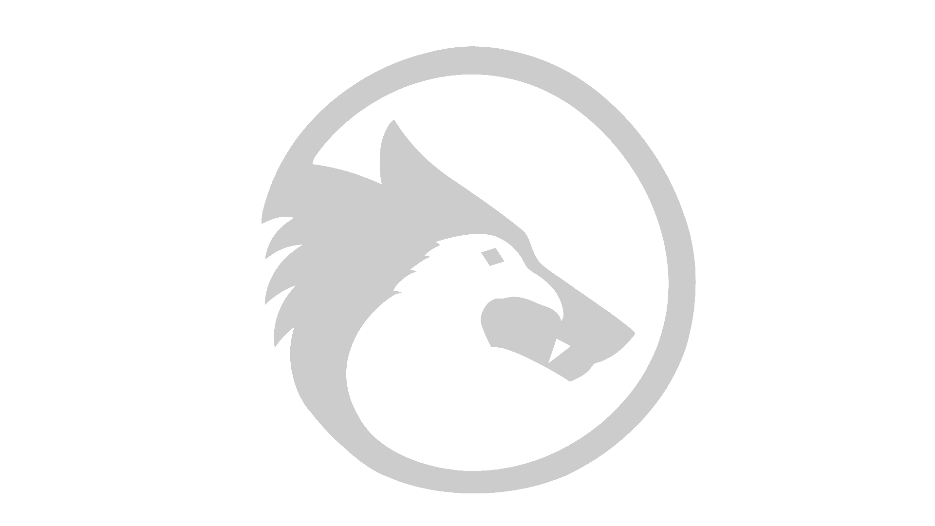 porfolio-2025.gif