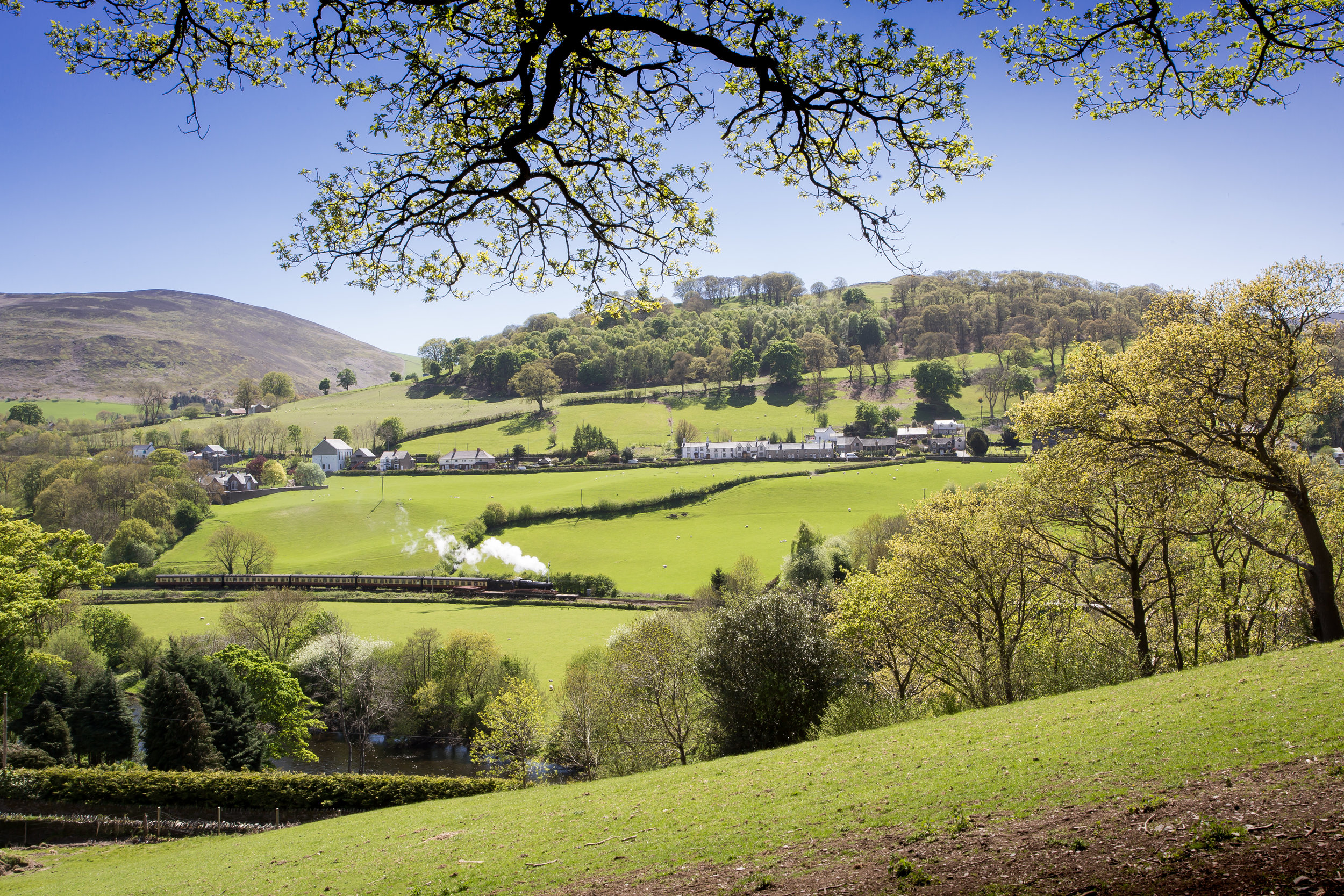 Peace and Tranquility Coed-Y-Glyn Log Cabins Take a Look