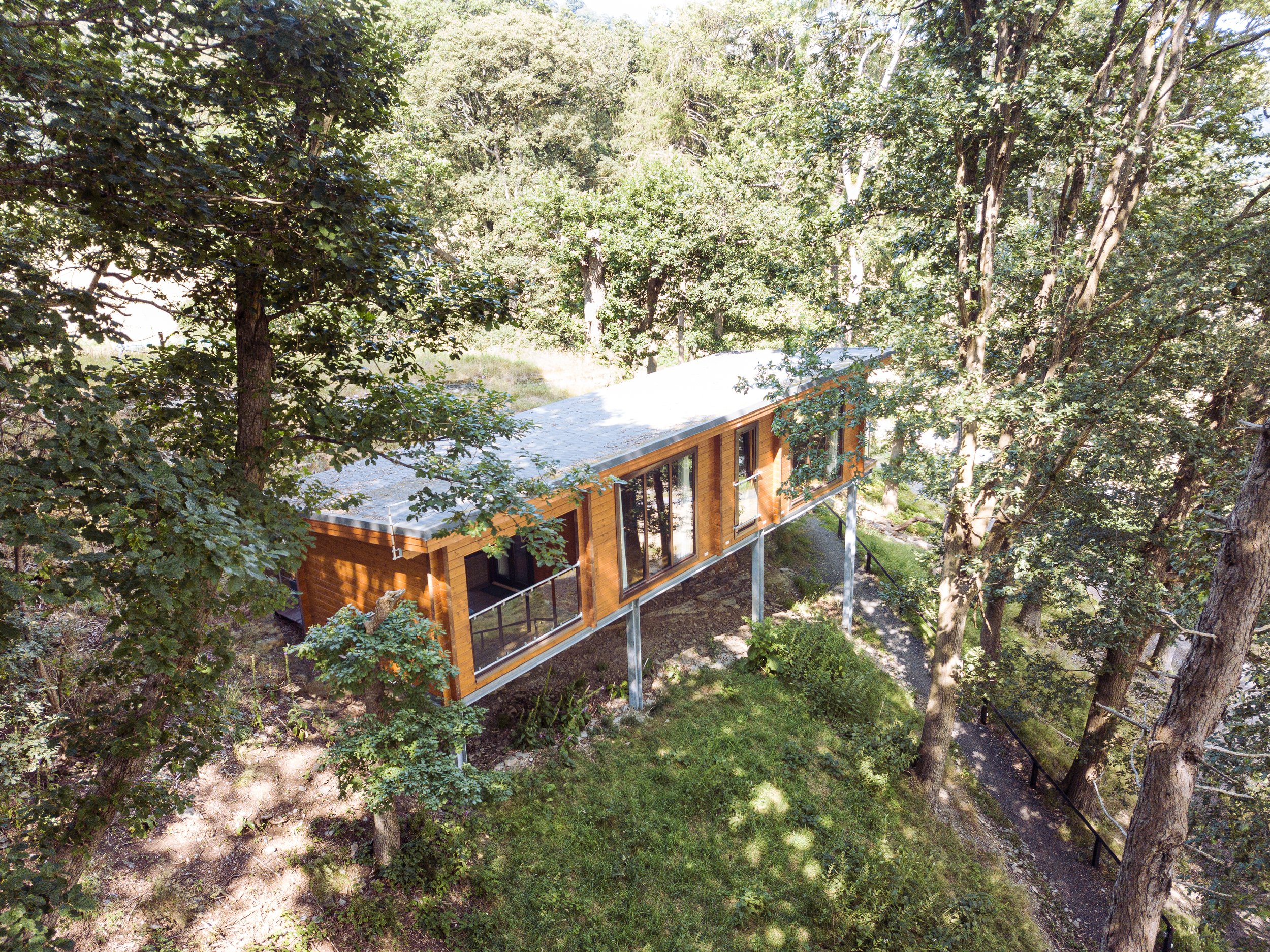  Escape for Two   Coed-Y-Glyn Log Cabins    Forest Lodge  
