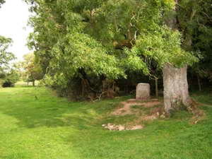 Figure 1. The marker stone at the source of the Thames near the village of Kemble