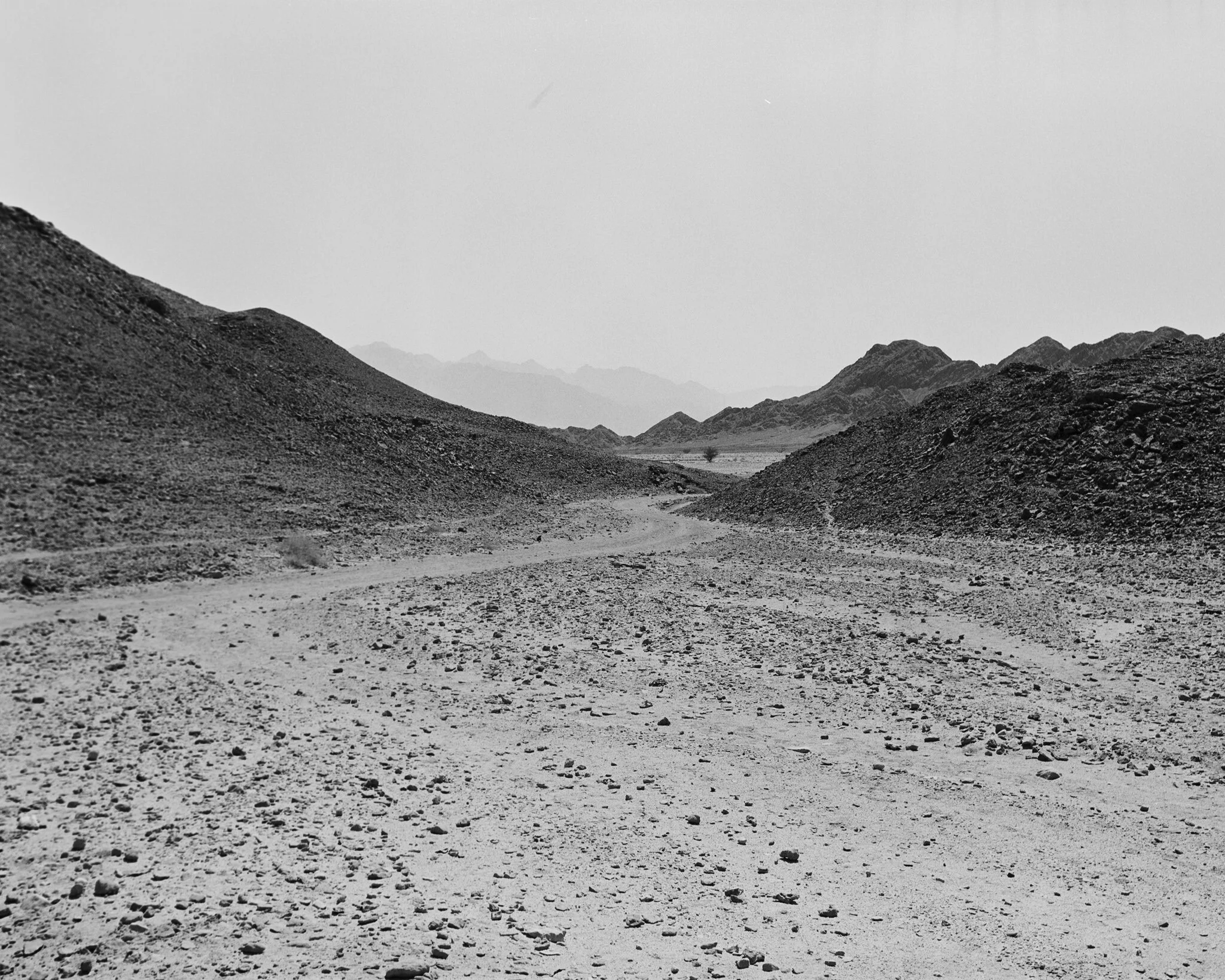 DSC_628967.jpg