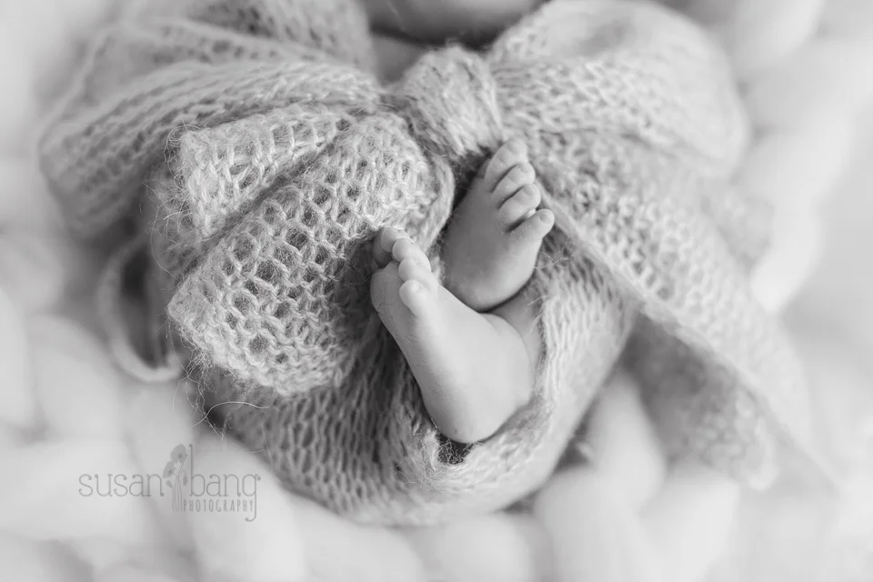 Newborn Baby Photographer