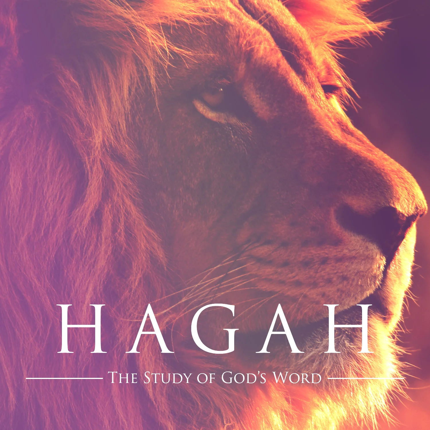 Hagah: The Study of God's Word
