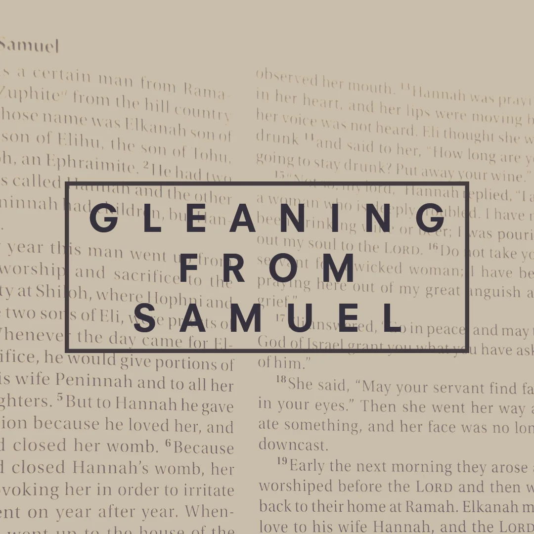 Gleaning from Samuel: Standing Stones