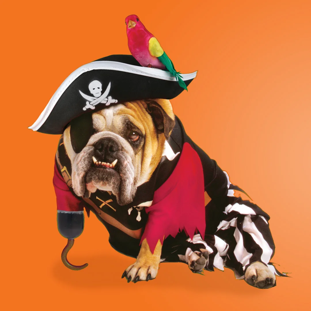 Howl-o-Ween &amp; Trunk-or-Treat in Williamson