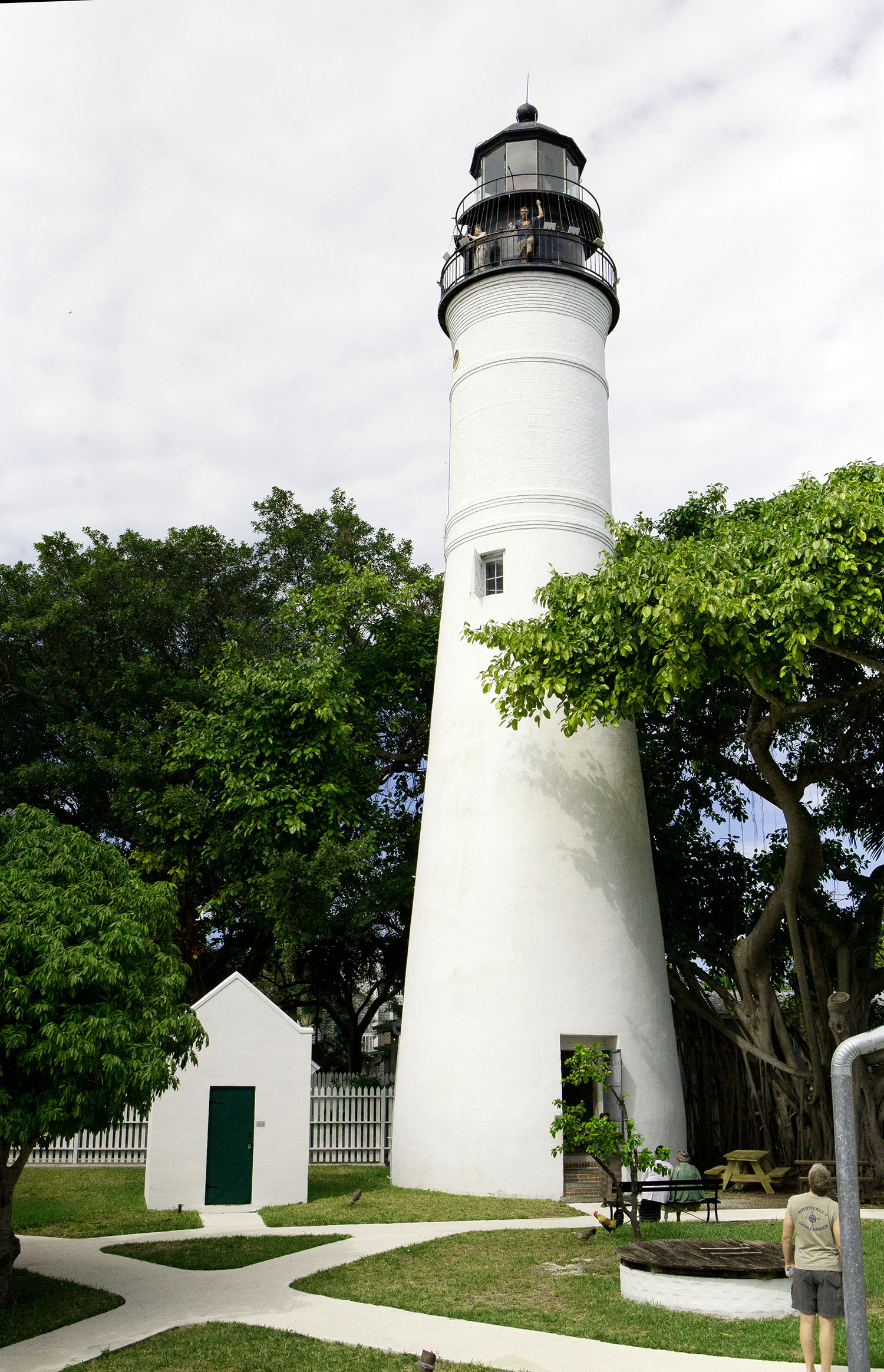 _MG_1043.jpg
