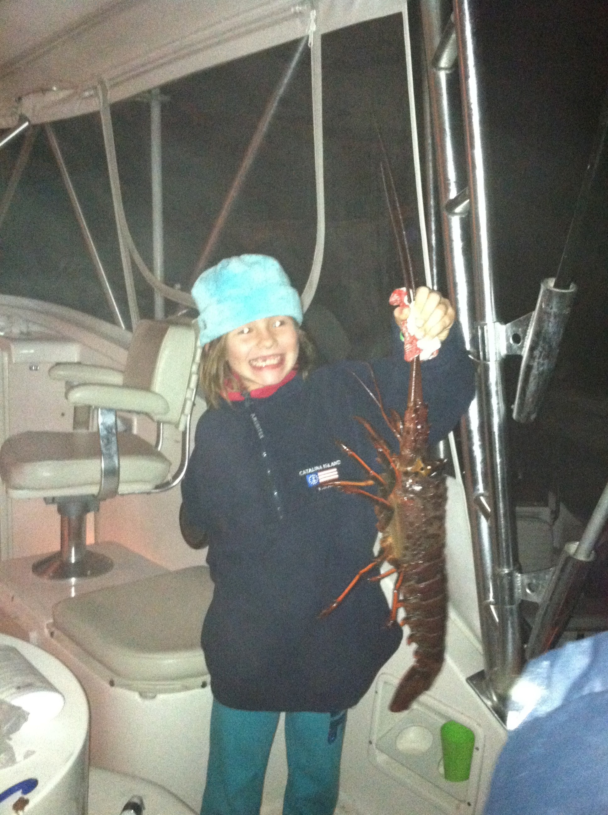 You don't have to be big to catch Lobsters