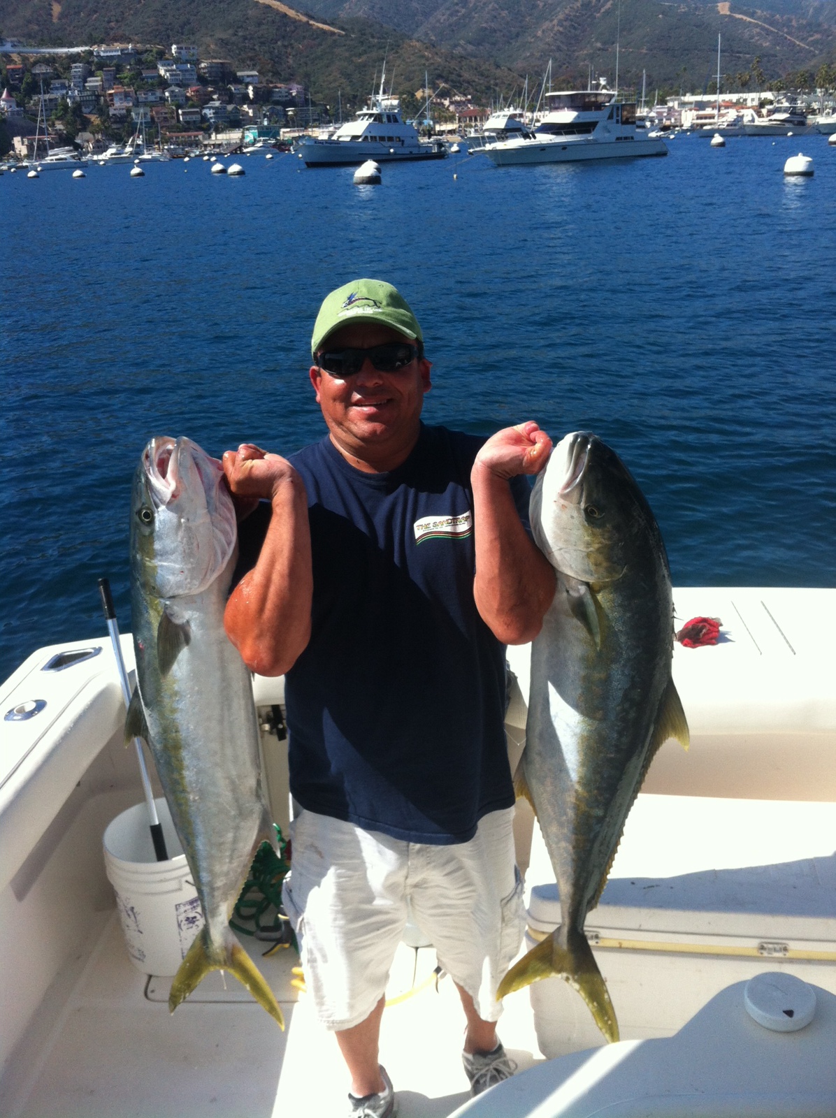 Two Yellow Tail at Avalon, Catalina Island