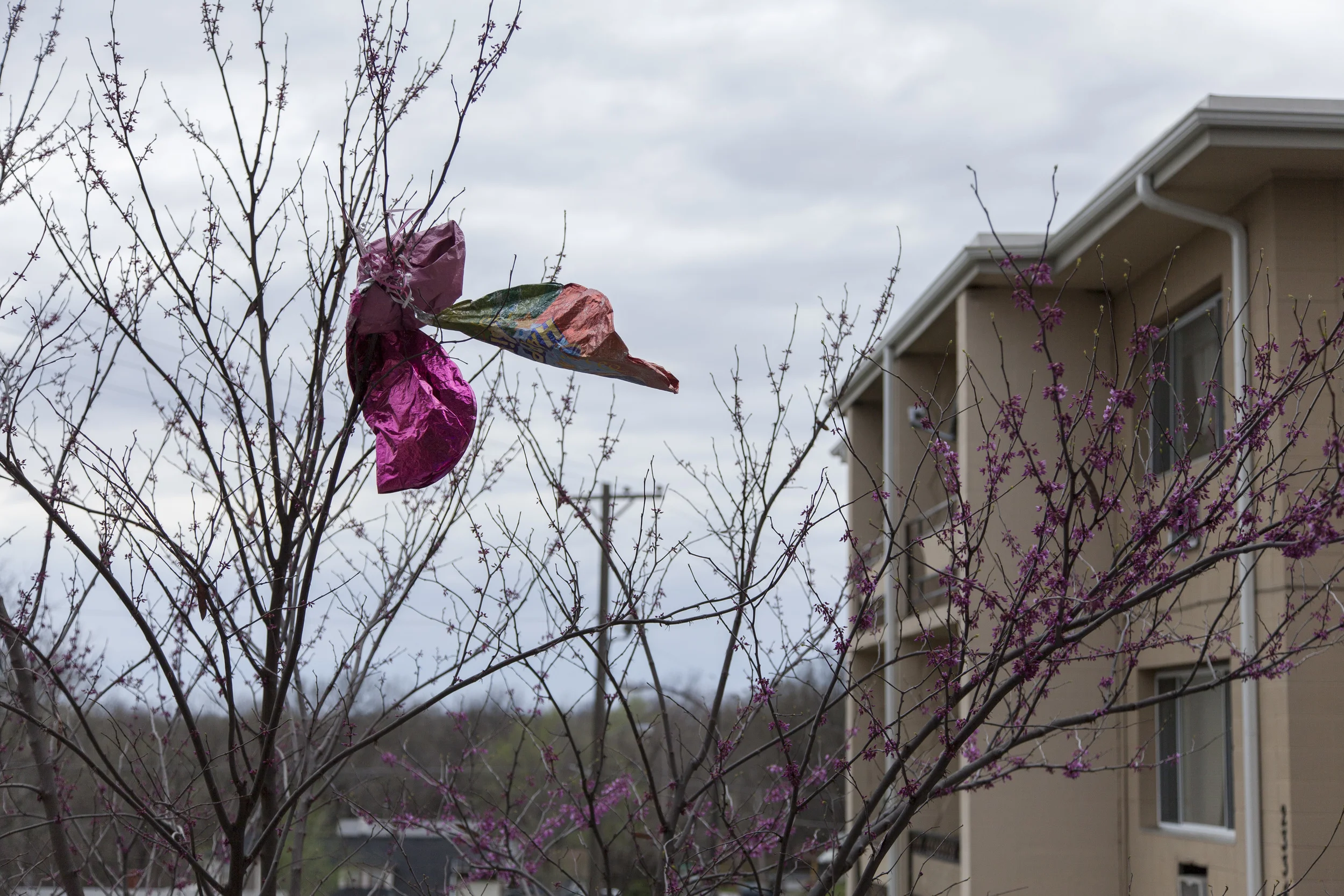 20130414_0665.jpg