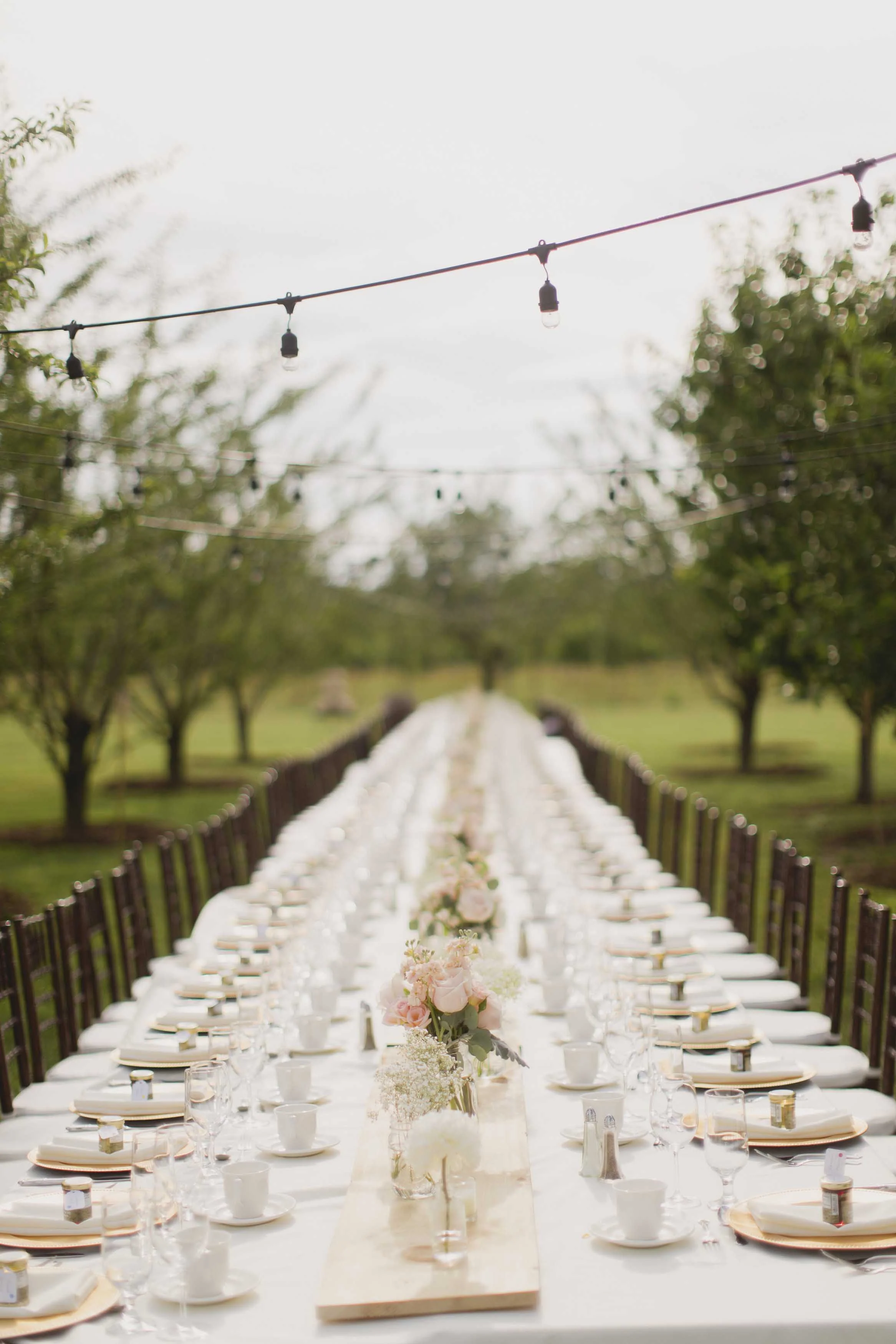 Cocktails and Reception-1002.jpg