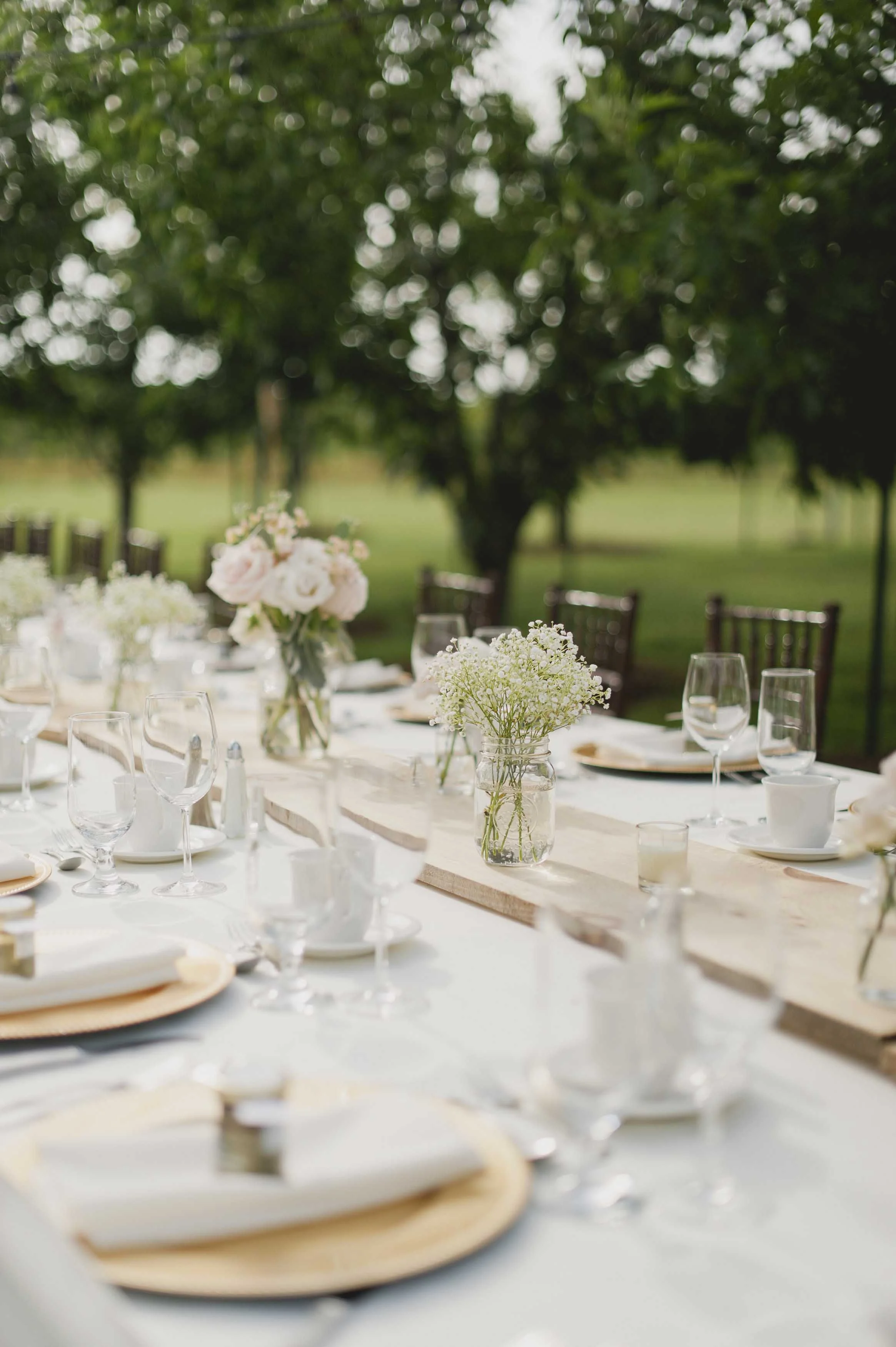 Cocktails and Reception-1011.jpg
