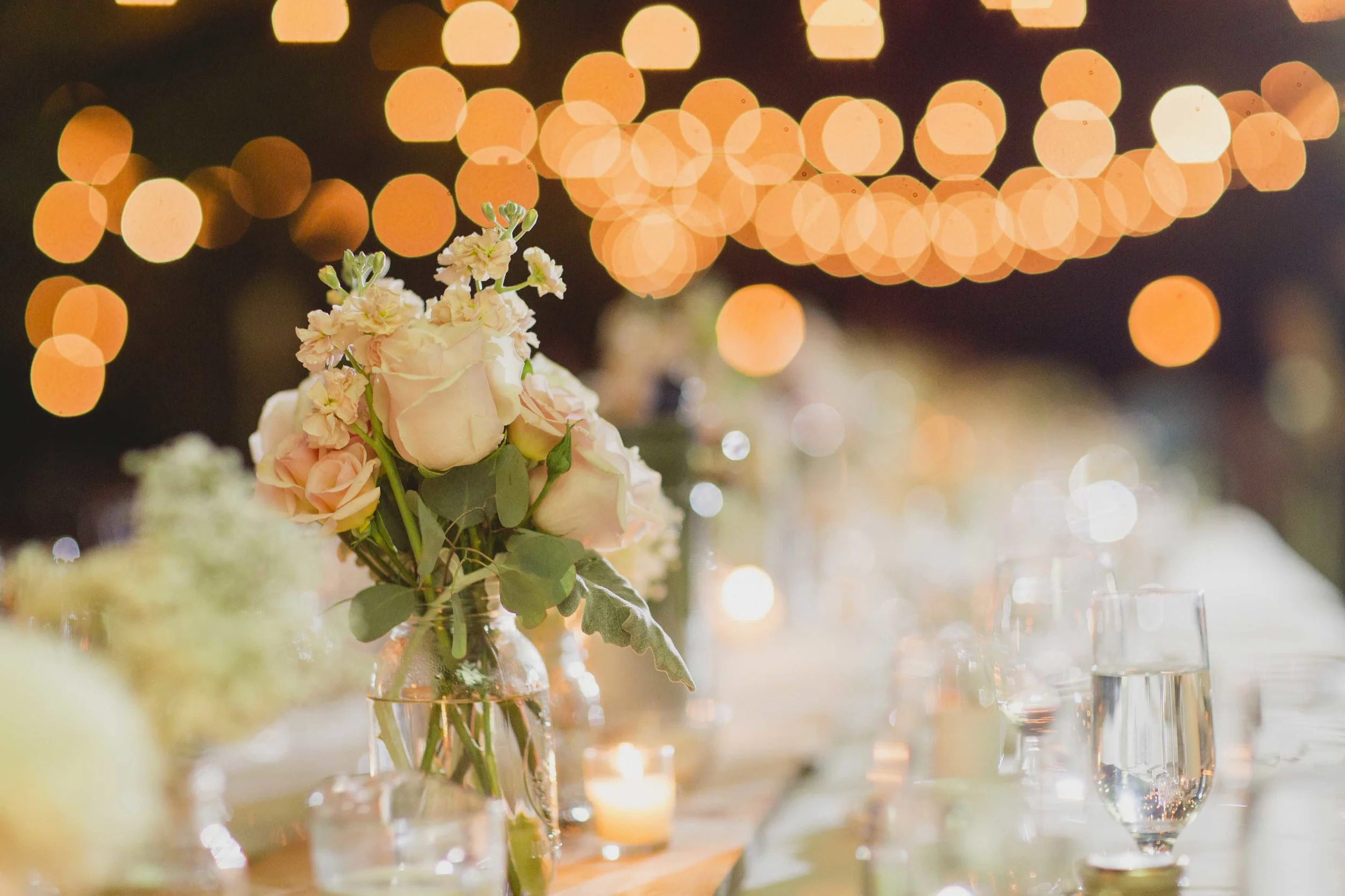Cocktails and Reception-1385.jpg