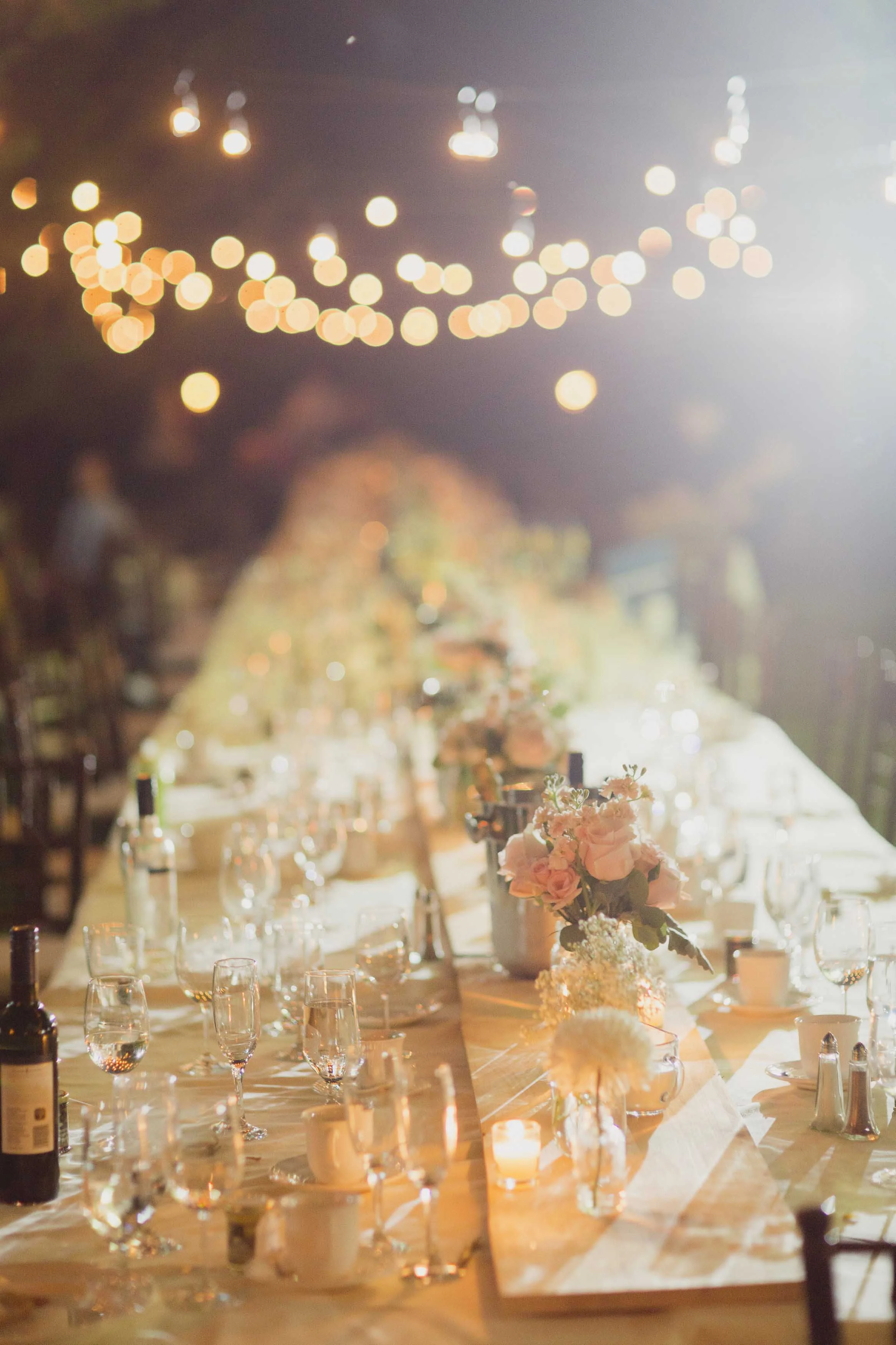 Cocktails and Reception-1382.jpg