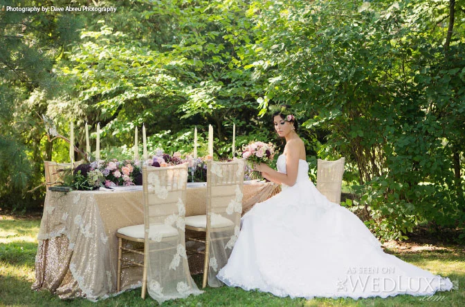 Kurtz-Orchards-Editorial-Vineyard-Bride-Photo-By-Dave-Abreu-Photography-002.jpg
