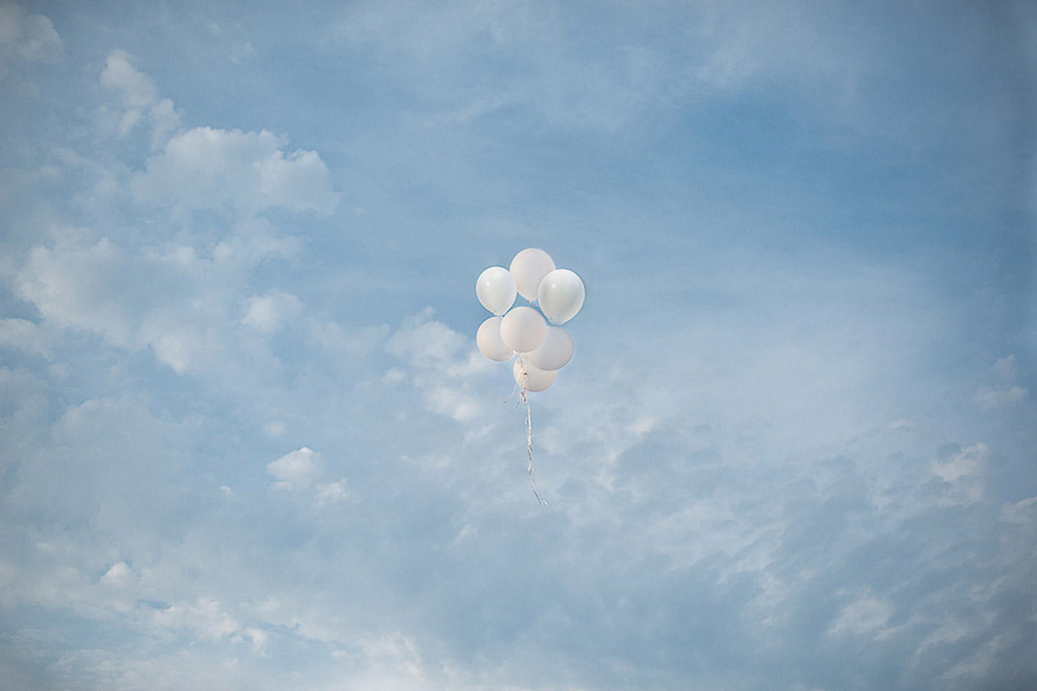 Niagara-on-the-Lake-Engagement-Vineyard-Bride-Photo-By-Wendy-Alana-015.jpg