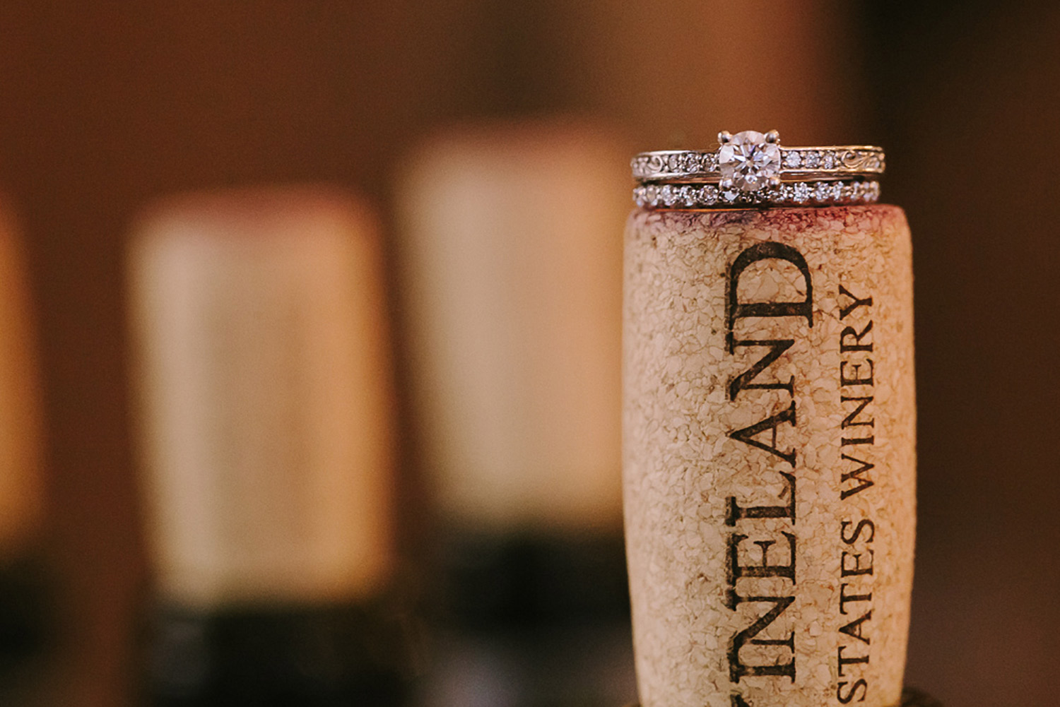 Vineland-Estates-Wedding-Vineyard-Bride-Photo-By-Tamara-Lockwood-Photography-032.jpg