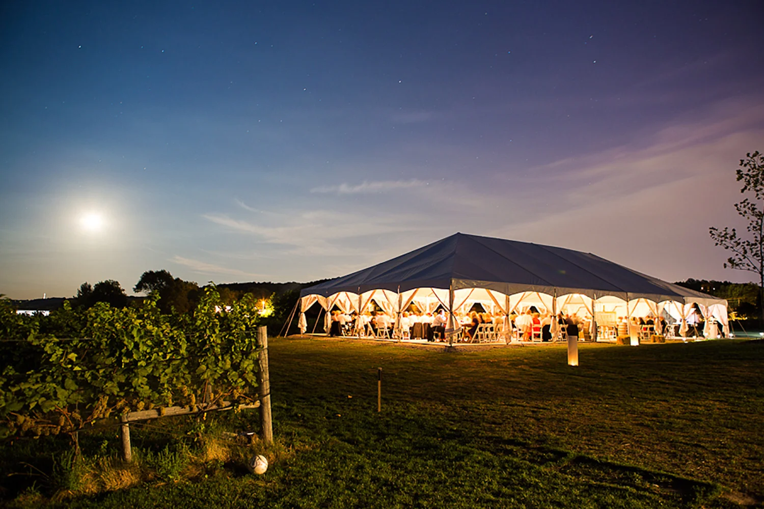 Ravine-Vineyard-Wedding-Vineyard-Bride-Photo-By-Andrew-Mark-Photography-048.jpg