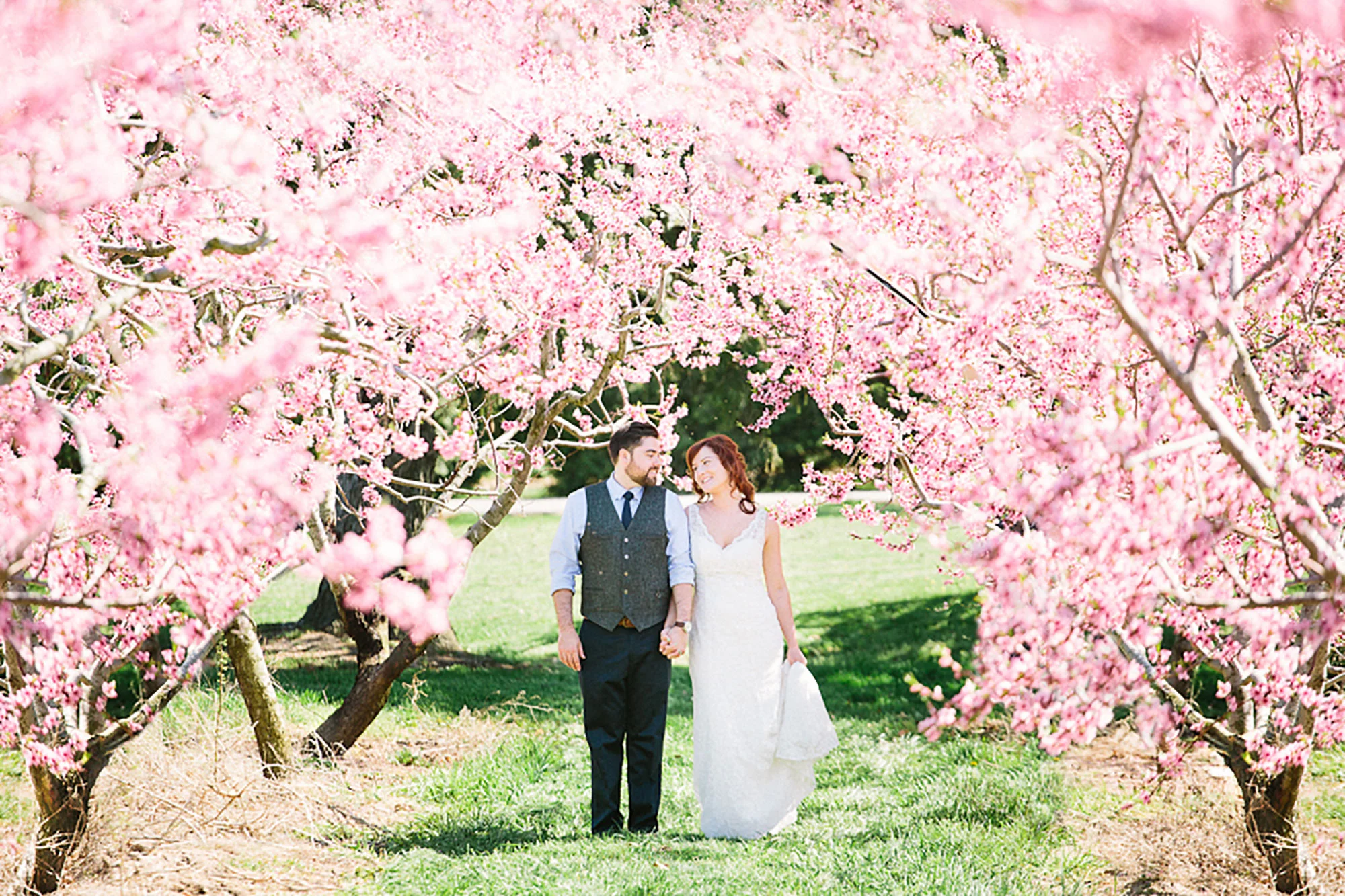 Navy-Hall-Wedding-Vineyard-Bride-Photo-By-Andrew-Mark-Photography-024.jpg