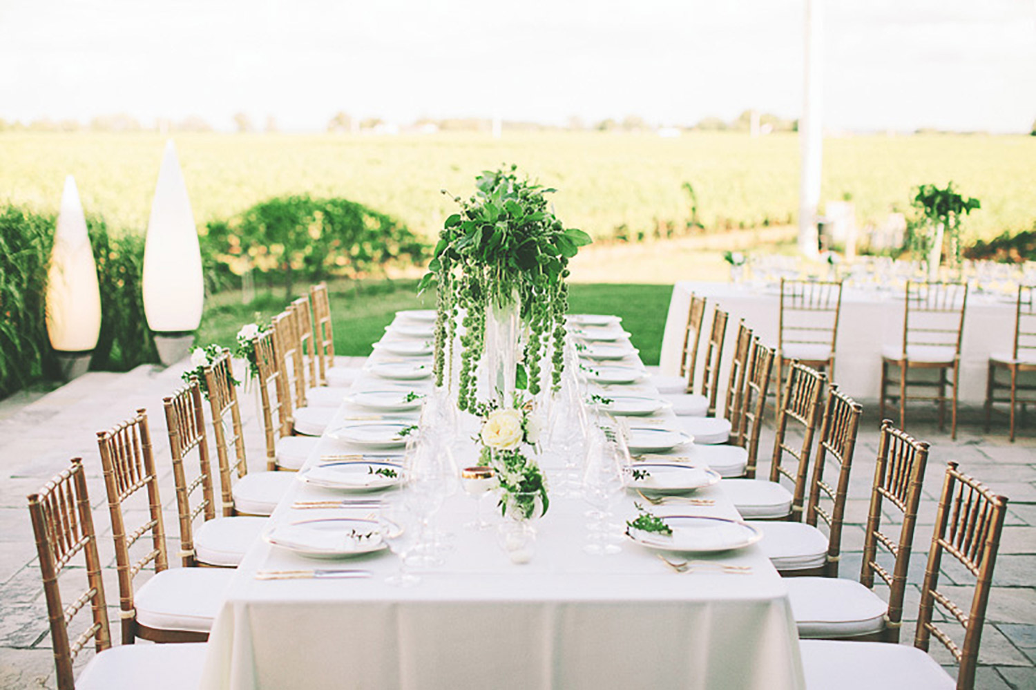 Stratus-Vineyards-Wedding-Vineyard-Bride-Photo-By-Reed-Photography-014.jpg