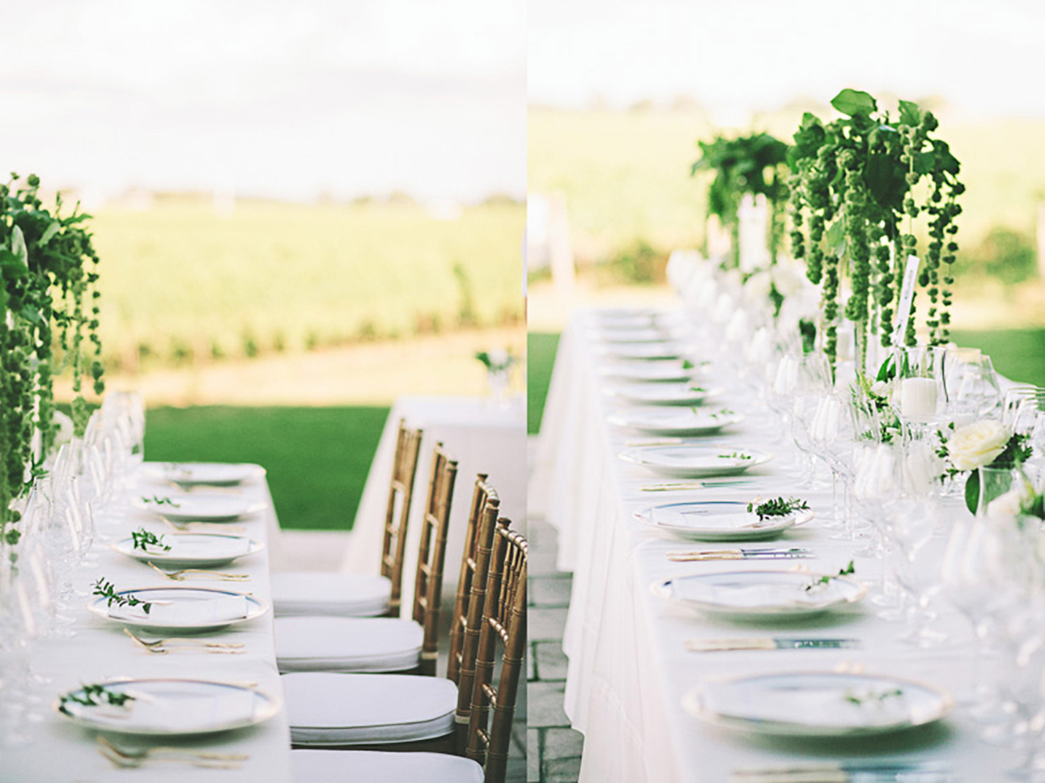 Stratus-Vineyards-Wedding-Vineyard-Bride-Photo-By-Reed-Photography-016.jpg