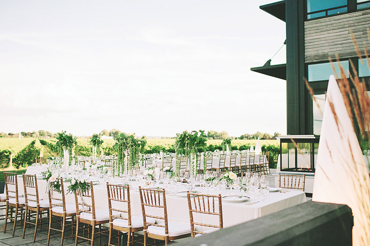 Stratus-Vineyards-Wedding-Vineyard-Bride-Photo-By-Reed-Photography-023.jpg