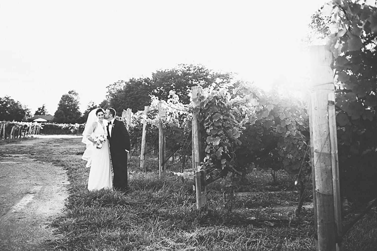 Stratus-Vineyards-Wedding-Vineyard-Bride-Photo-By-Reed-Photography-040.jpg