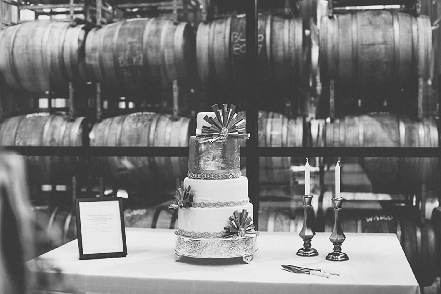Stratus-Vineyards-Wedding-Vineyard-Bride-Photo-By-Reed-Photography-057.jpg