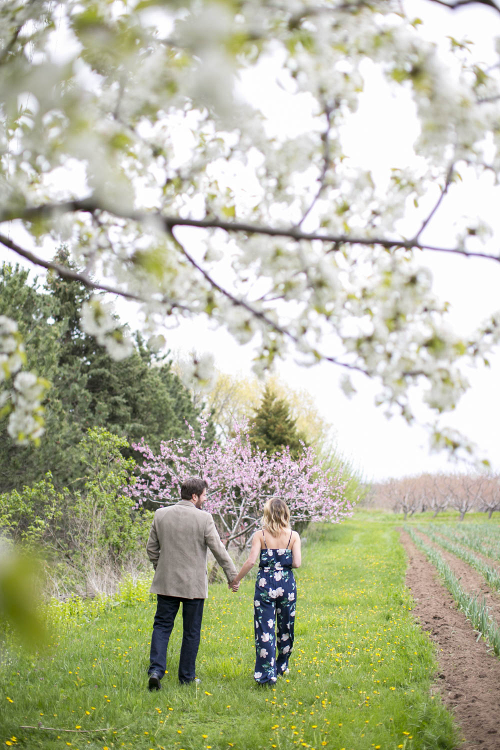 philiosophy-studios-engagement-session-spring-orchard-blossoms-vineyard-bride-swish-list-vendor-niagara-toronto-wedding-photographer009.JPG