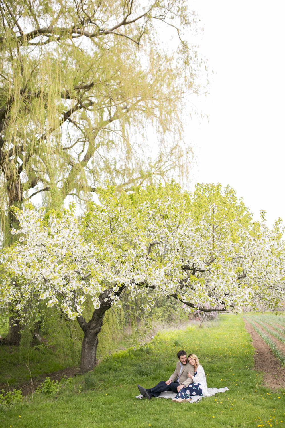 philiosophy-studios-engagement-session-spring-orchard-blossoms-vineyard-bride-swish-list-vendor-niagara-toronto-wedding-photographer013.JPG