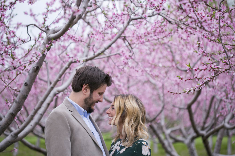 philiosophy-studios-engagement-session-spring-orchard-blossoms-vineyard-bride-swish-list-vendor-niagara-toronto-wedding-photographer026.JPG