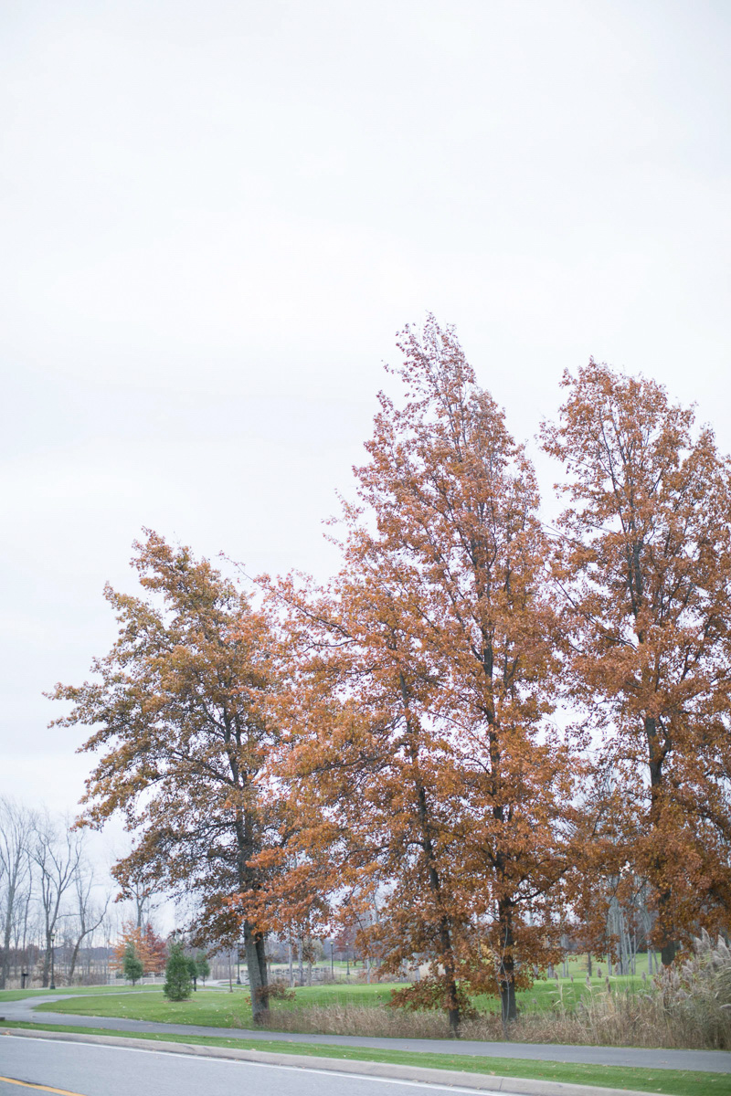 fall trees on the golf course at legends on the niagara