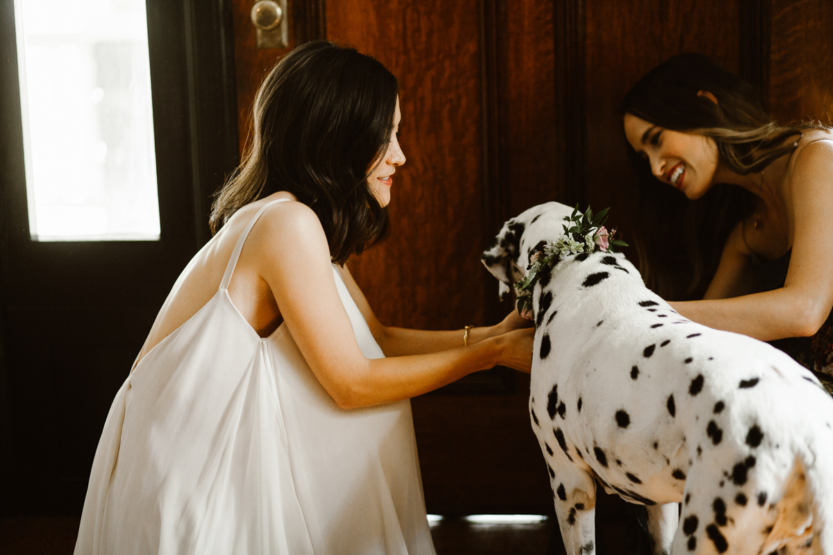 reed-photography-vineyard-bride-swish-list-ravine-vineyard-niagara-on-the-lake-wedding-8.jpg