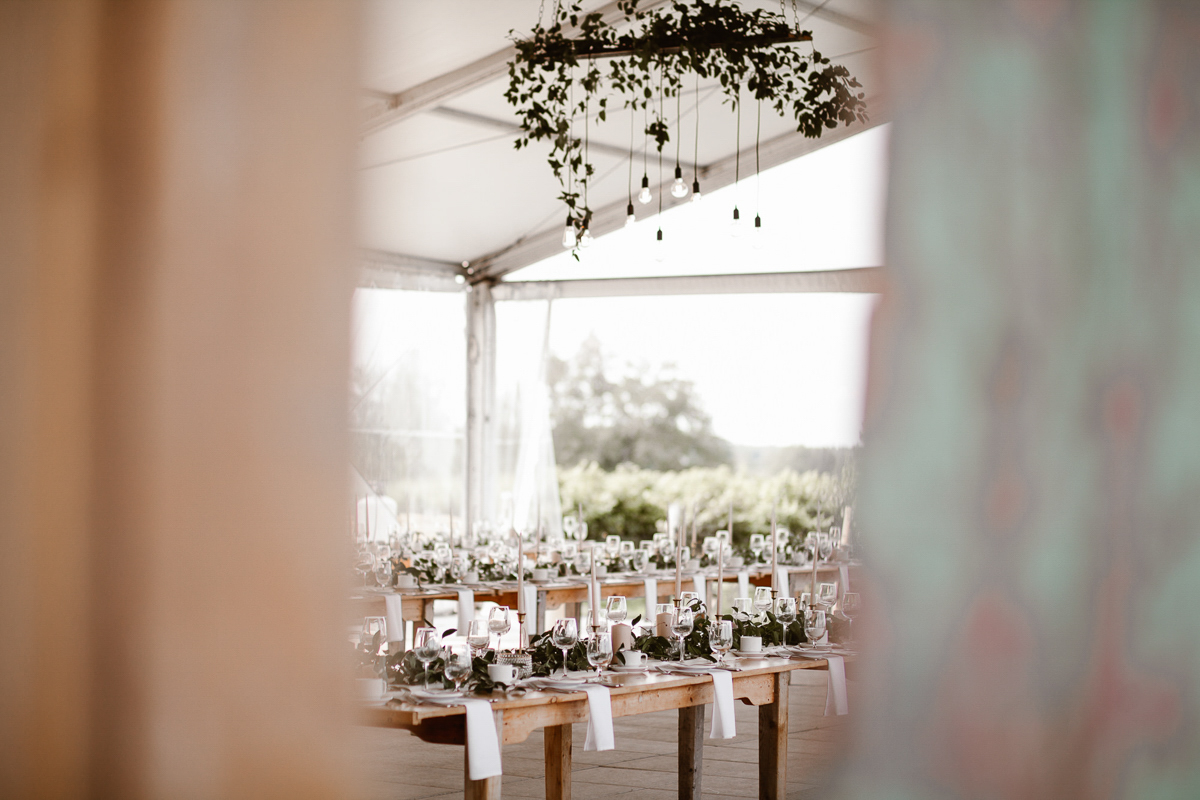 reed-photography-vineyard-bride-swish-list-ravine-vineyard-niagara-on-the-lake-wedding-29.jpg