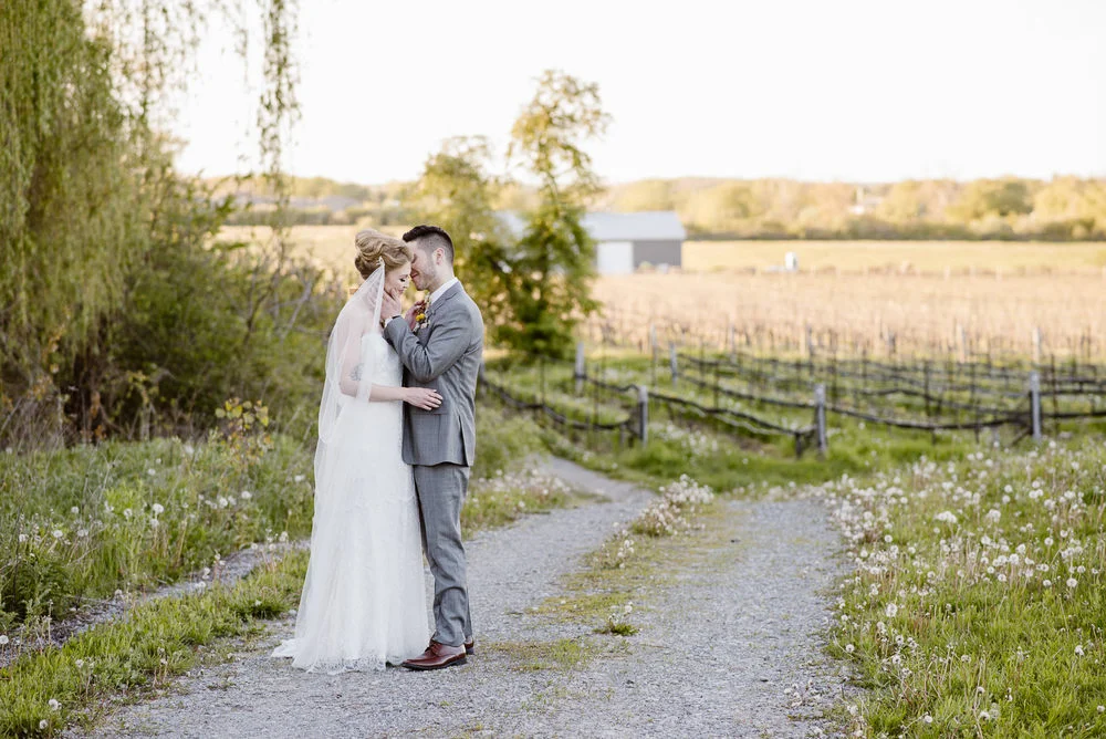 khristel-studios-vineyard-bride-swish-list-ravine-vineyard-niagara-on-the-lake-wedding-editorial-23.jpg