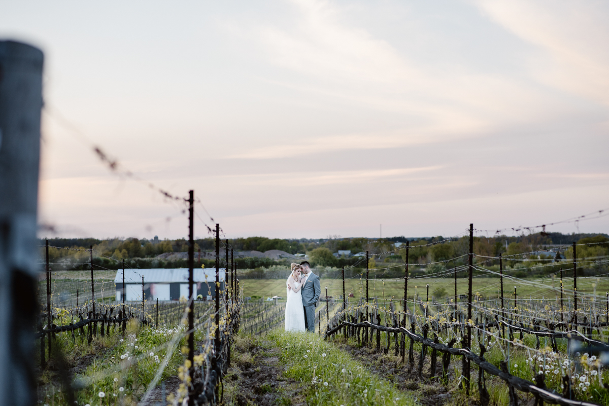 khristel-studios-vineyard-bride-swish-list-ravine-vineyard-niagara-on-the-lake-wedding-editorial-39.jpg