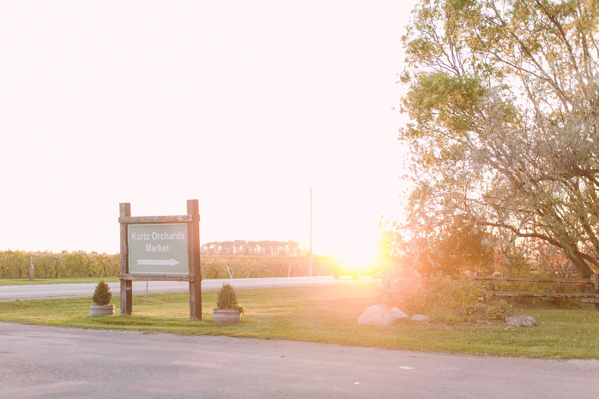 the-first-look-vineyard-bride-swish-list-kurtz-orchards-market-niagara-on-the-lake-wedding-show-57.jpg