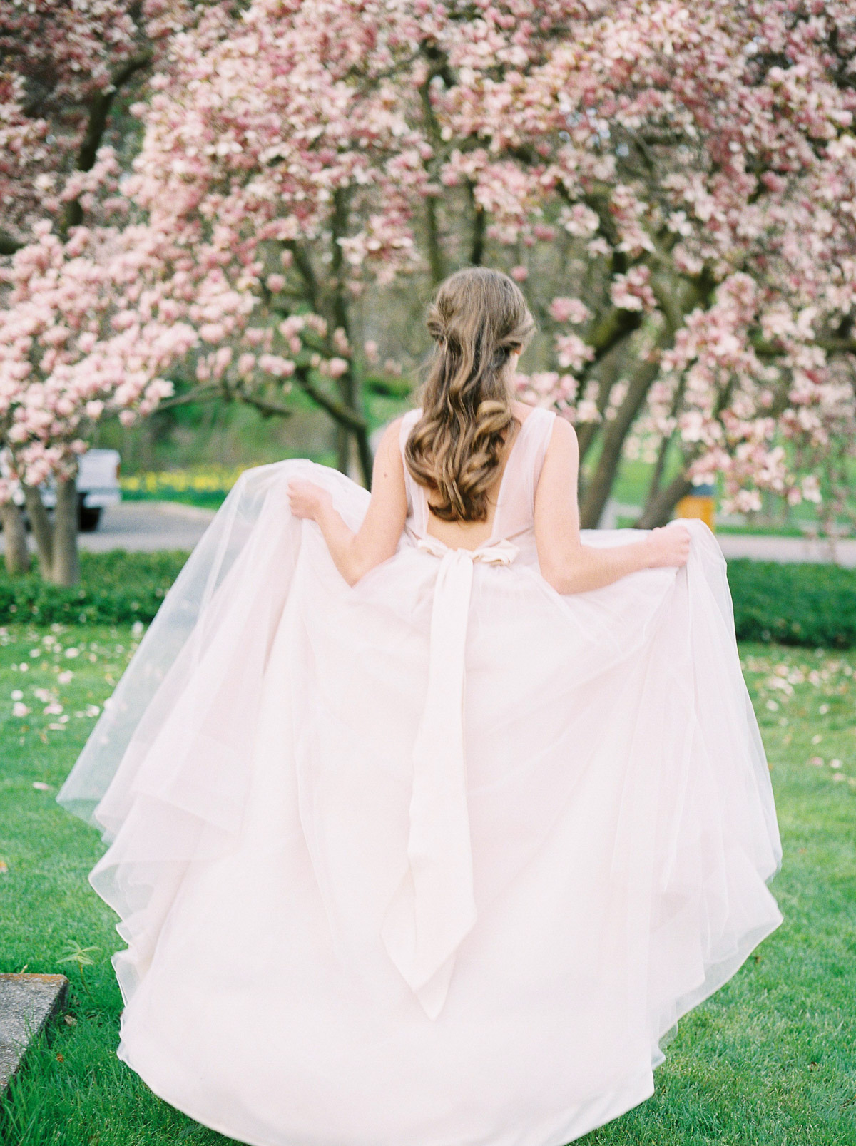 NIAGARA FALLS // SPRING MAGNOLIA TREE EDITORIAL — Vineyard Bride ...