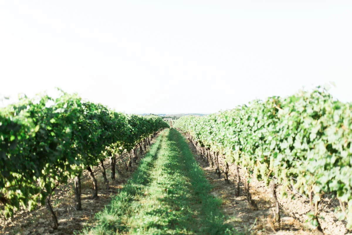 emily-jean-photography-vineyard-bride-swish-list-inn-on-the-twenty-cave-springs-winery-jordan-wedding-58.jpg